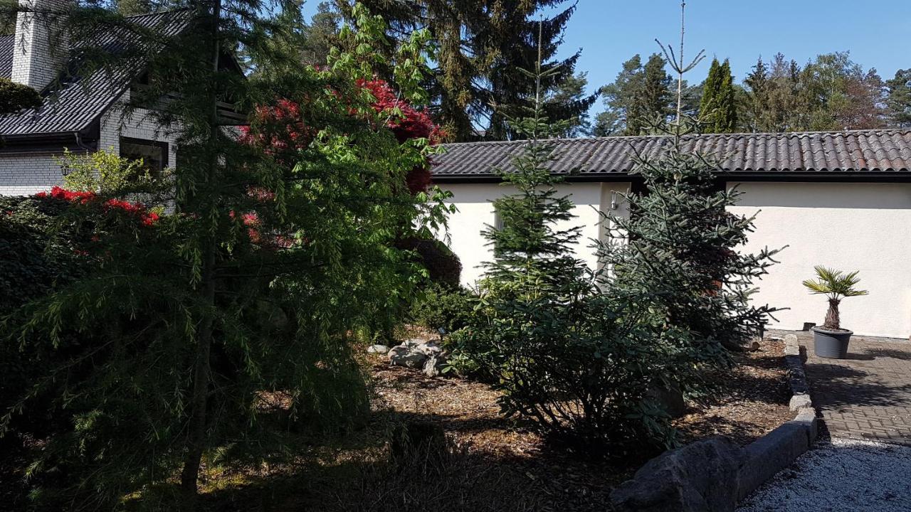 Ferienhaus Am Muehlenweg Winsen Zewnętrze zdjęcie